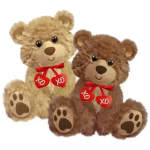Two teddy bears with red heart ribbons on a white background