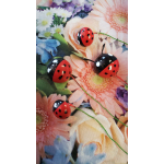 The little Wooden Ladybug