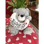 Gray teddy bear holding a heart-shaped pillow with love text