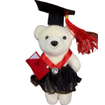 White teddy bear wearing a graduation cap and red sash