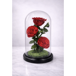 Three red roses under a glass dome on a black base