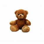 Brown teddy bear sitting on a white background