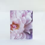 Close-up of a pink and white flower print on a rectangular card