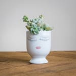 Succulent arrangement in a white face-shaped ceramic planter