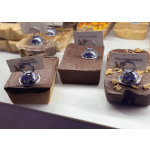 Assorted chocolate fudge squares with flavor labels and metal holders