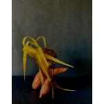 Abstract arrangement with dried leaves and orange root vegetables