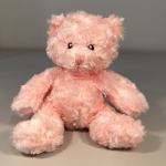 Light Pink Plush Bear