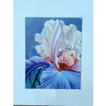 Framed painting of a large iris flower in blue and white tones