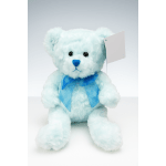 Light blue teddy bear with a ribbon and blank tag