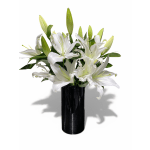 White Lily Elegance