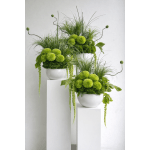 Three modern green arrangements with pompom blooms and grasses in white bowls on white pedestals