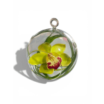 Orchid Halo