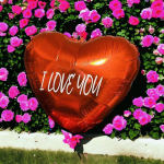 Heart-shaped balloon with "I LOVE YOU" text in front of pink flowers