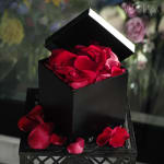 Red rose petals in a black gift box with the lid open
