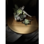 Succulent boutonniere and matching wrist corsage with ribbon