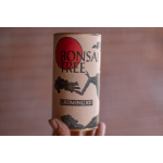 Bonsai tree growing kit in a cylindrical container