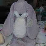 Happy Really Soft Bunnies Lavender