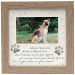 Framed memorial plaque with a dog photo and paw prints