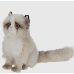 Fluffy cream-colored cat plush with blue eyes and a long tail