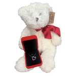 White teddy bear holding a red jewelry box with a heart necklace