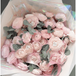 Bouquet of pale pink ranunculus with eucalyptus and pink ribbon