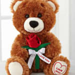 Brown teddy bear holding a red rose with a ribbon