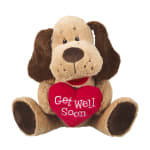 Plush dog holding a red heart that says Get Well Soon