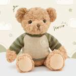 Teddy bear plush wearing a knit sweater