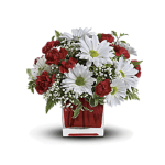 Red carnations and white daisies in a clear square vase