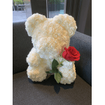 White rose teddy bear with a single red rose