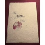 A worn paper card with a faded red fruit and green leaves.
