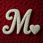 Baby's Breath Letter - M