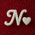 Baby's Breath Letter - N