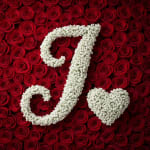 Baby's Breath Letter - J