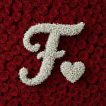 Baby's Breath Letter - F