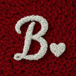 Baby's Breath Letter - B