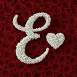 White floral ampersand and heart on a background of red roses