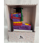 Graduation Piñata