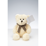 Cream teddy bear with a checkered ribbon holding a blank card
