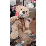 A plush teddy bear with a ribbon bow is held in the foreground.
