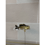 Decorative fish on a stick with a ribbon and price tag