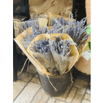 Bundles of dried lavender in brown paper wraps inside a bucket
