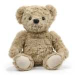 Beige teddy bear plush toy sitting on a white background