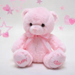 Plushie | Baby Girl Keepsake