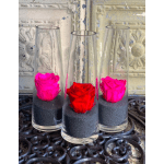 Three clear glass vases each hold a single rose in black sand.