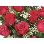 Bouquet of red roses with small white filler flowers