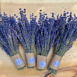 Bundles of blue dried lavender wrapped in kraft paper