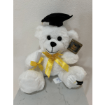 Grad Teddy Bear
