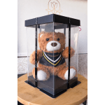Graduation Teddy Box