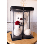 Elegant Teddy Gift Box